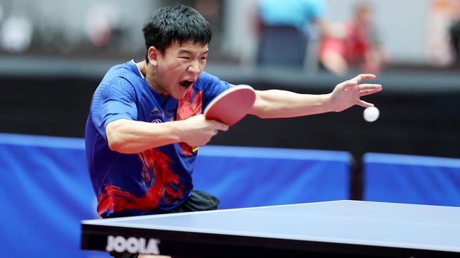 复不仅是体 复不仅是体