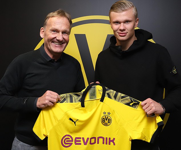 细小但确实 细小但确实